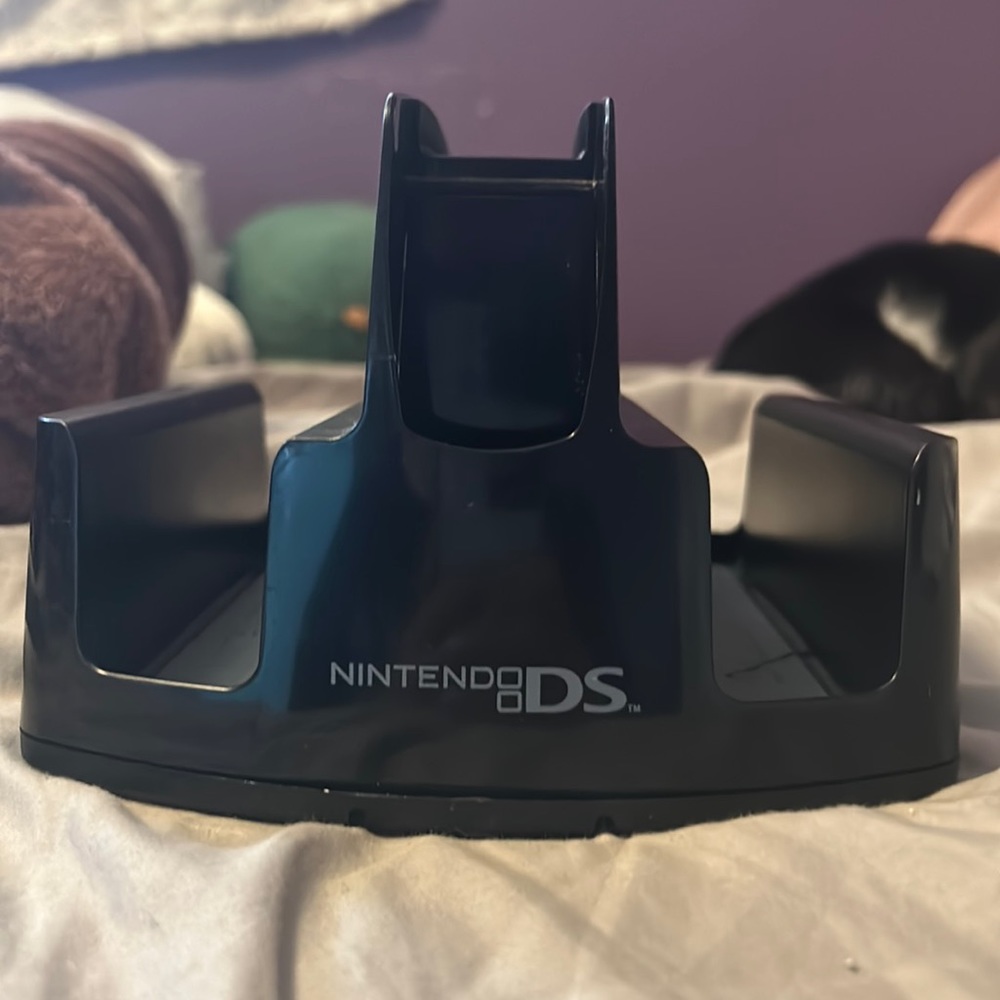 NintendoDS organizer